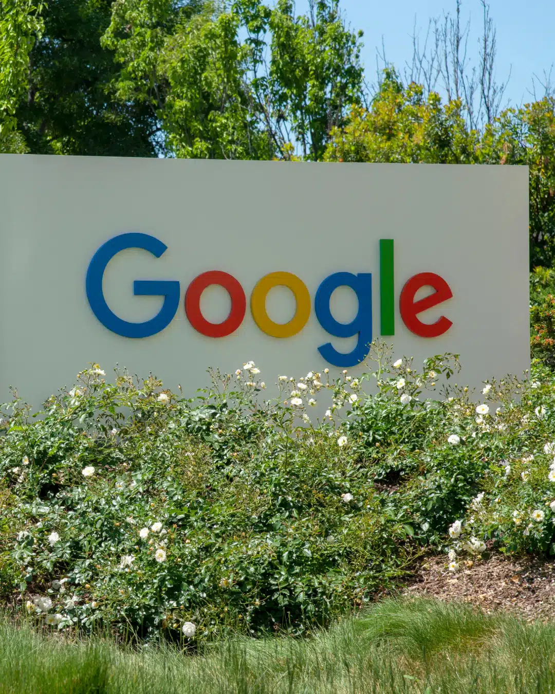 Articolo che parla di come Google è pronto a rivoluzionare la SEO e il modo di ricercare informazioni online.