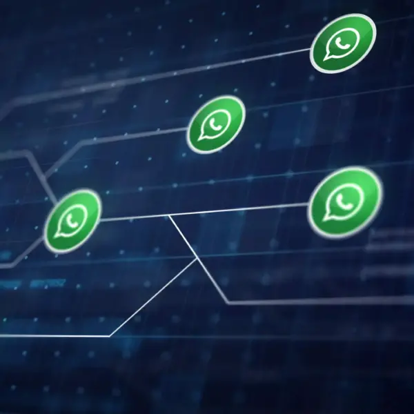 WhatsApp Business: Come funziona e a cosa serve